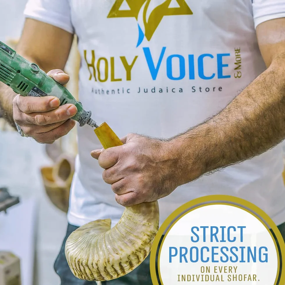 Holy Voice Cuerno kosher Ram Shofar de Israel de 14 a 16 pulgadas tradicional medio pulido, instrumento musical judío antiguo de Tierra Santa, boquilla suave para soplar fácilmente, sonido claro